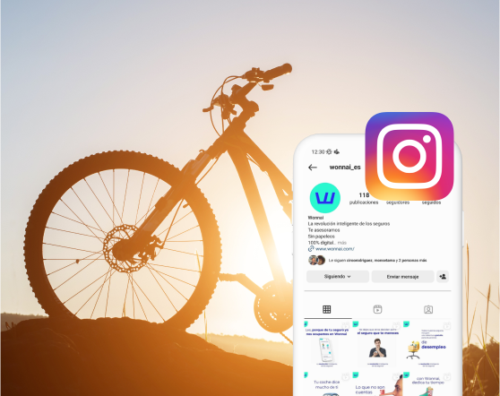 Descripción de la imagen