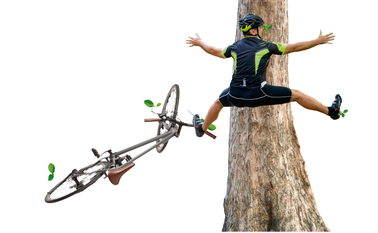 Descripción de la imagen